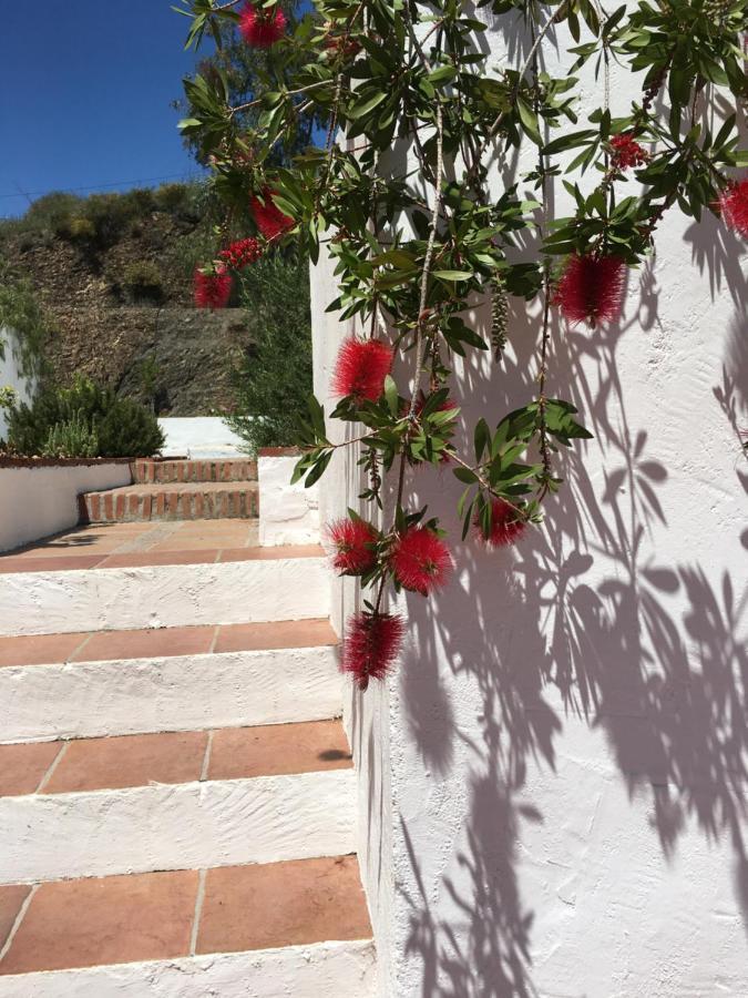 B&B And Apartments Cortijo La Zapatera Canillas de Aceituno 외부 사진