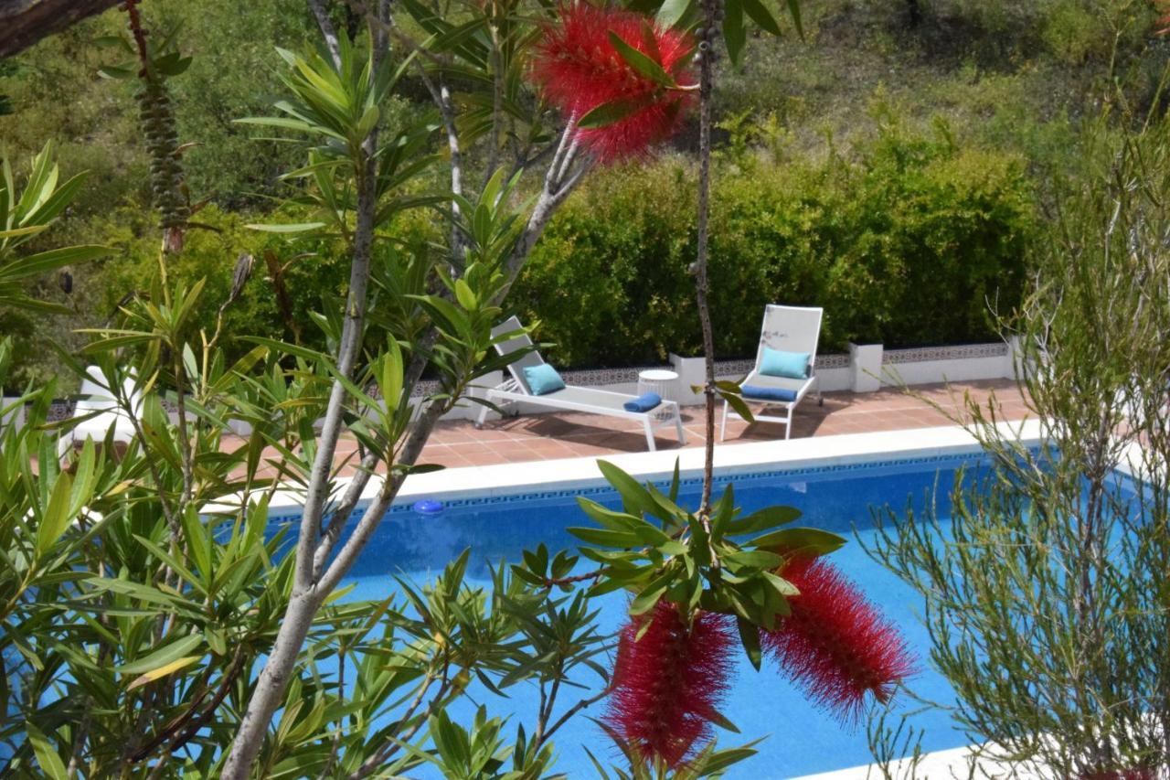 B&B And Apartments Cortijo La Zapatera Canillas de Aceituno 외부 사진