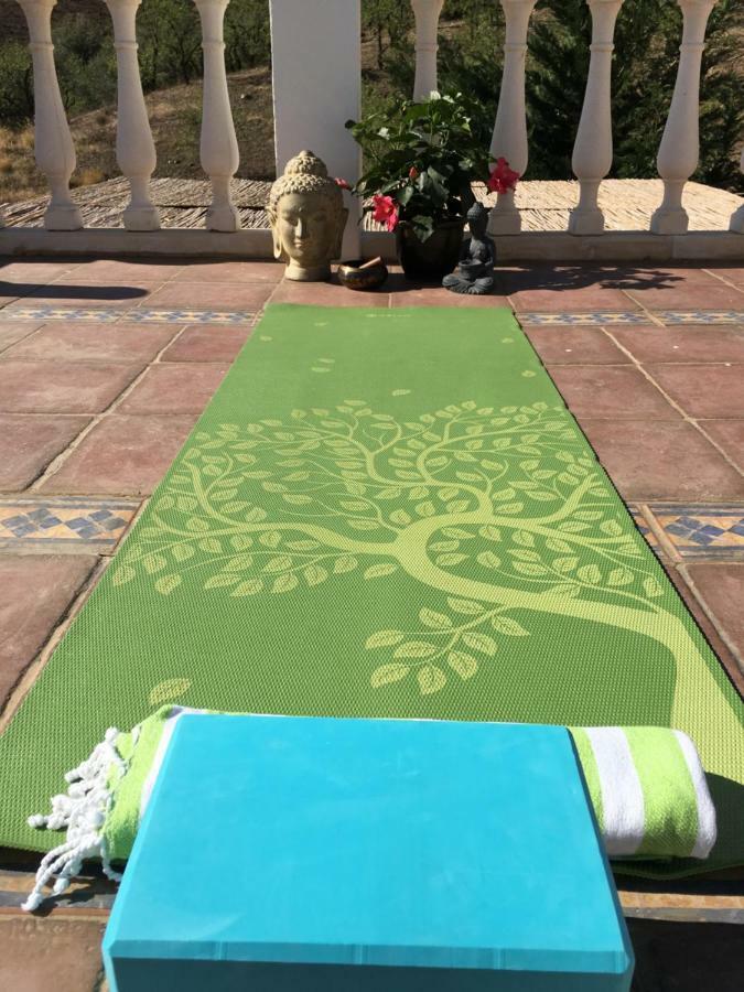 B&B And Apartments Cortijo La Zapatera Canillas de Aceituno 외부 사진